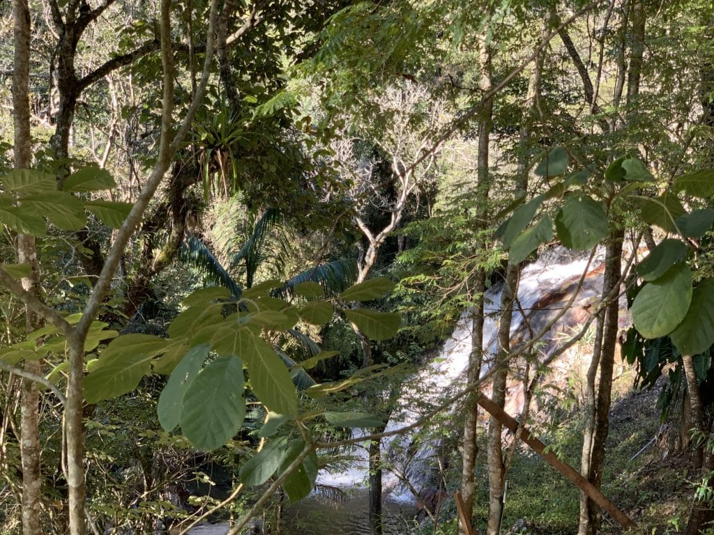 Cachoeira Lageado principal cachoeira em santo antonio do pinhal