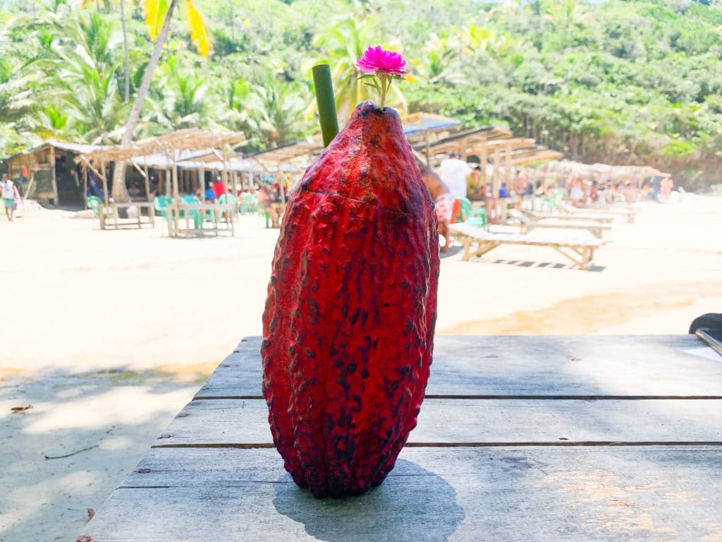 Drink de Cacau - Praia do Havaizinho - Itacaré