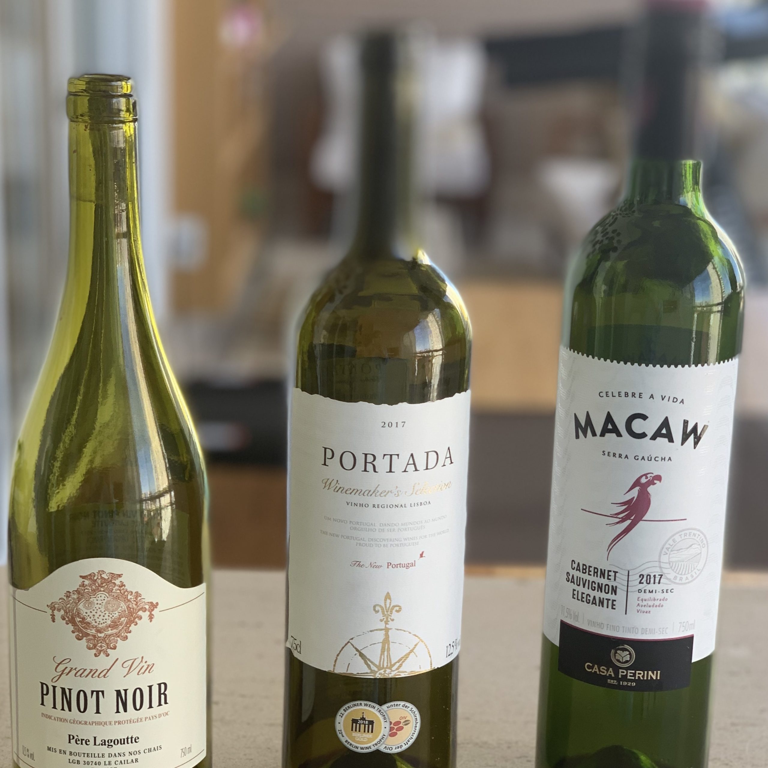 Dos tres o melhor vinho que achamos foi Vinho Père Lagoutte Grand Vin Pinot Noir 2017
