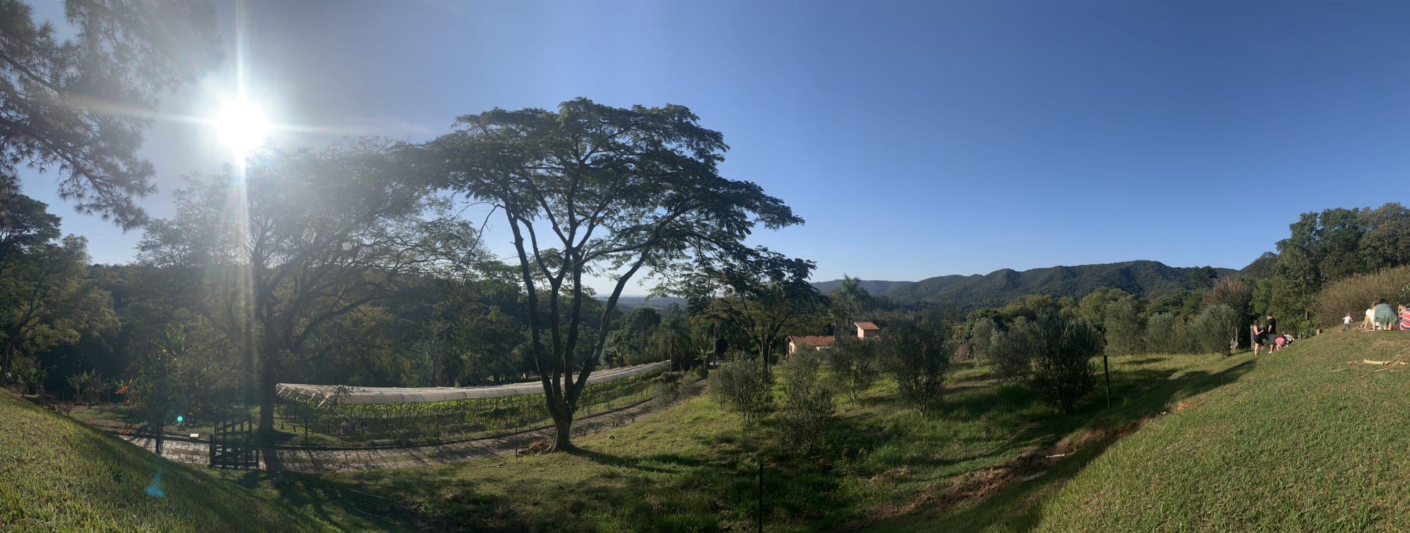 Queijaria Pé do Morro na Serra do Japi  A Bela e o Bigode